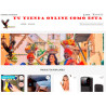 CREACION DE TIENDAS ONLINE