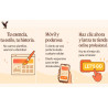 CREACION DE TIENDAS ONLINE